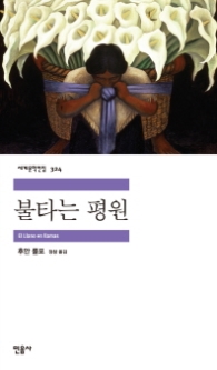 불타는 평원(세계문학전집324)